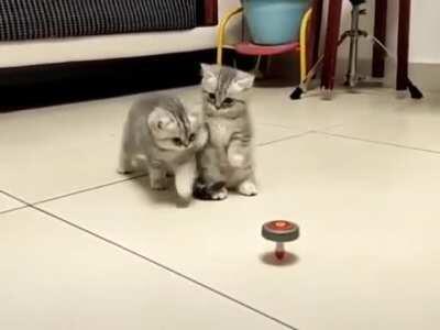 What That Bro ? Dont Go Too Close, It Might Be Monster