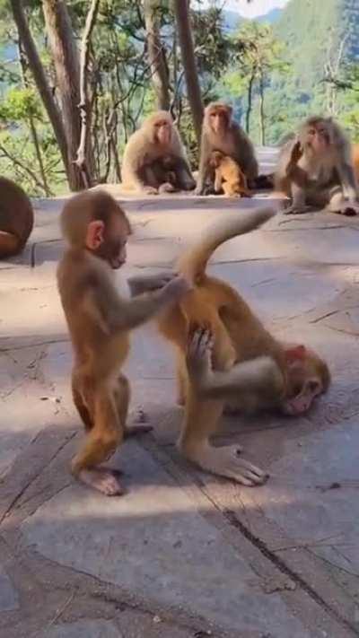 I'll just leave it here