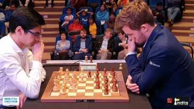 Magnus distracted by birds