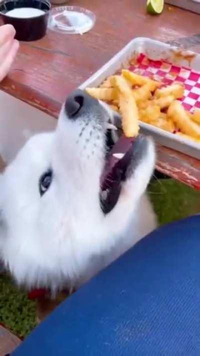 To Eat Fries...........