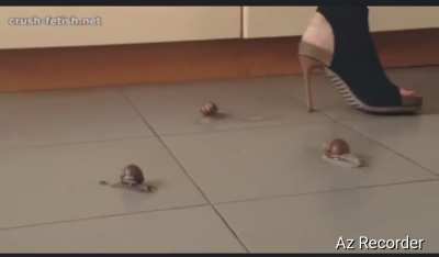 Sexy Sandal Crush snail.