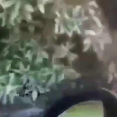 Reject thottery return to monke