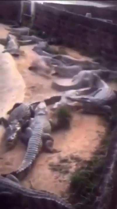 The Ankara Messi never gets old