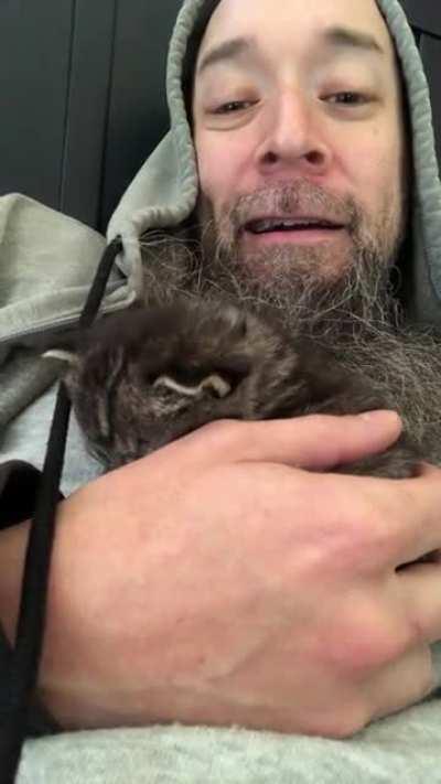 Now in not GIF. The most ferocious mew!