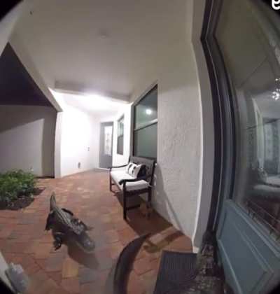 What do they want..?