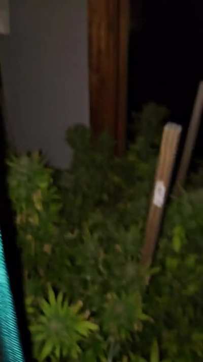 Update from earlier post