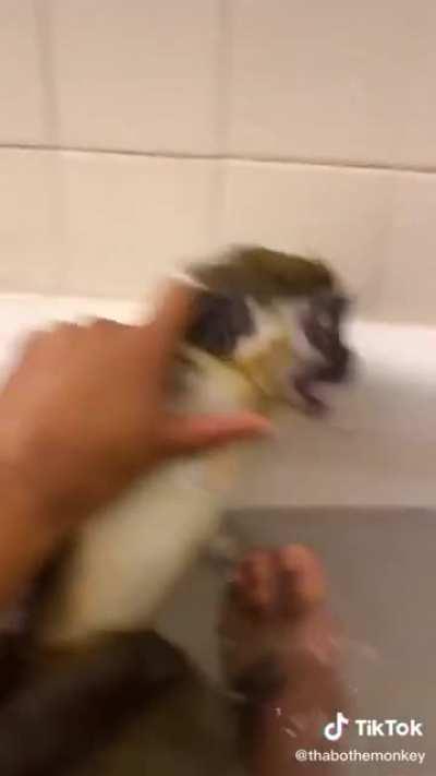 Upvote si necesitamos la etiqueta 