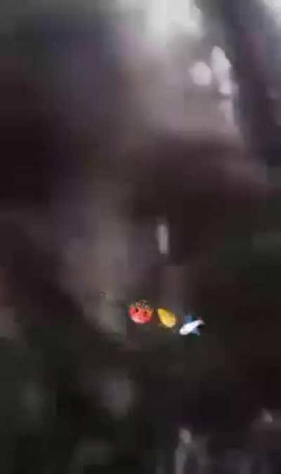 Pipi on kaki pum pipi kakalante 😡👍