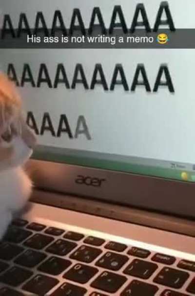 His ass is not a very good typewriter