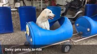 All aboard the Good Boi express