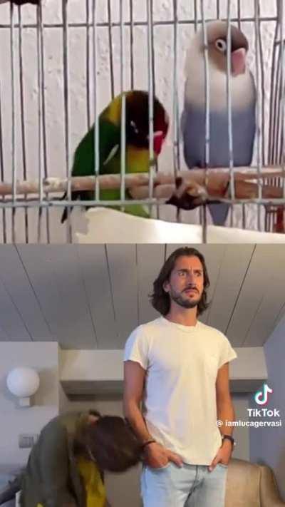 That person at the bar. 