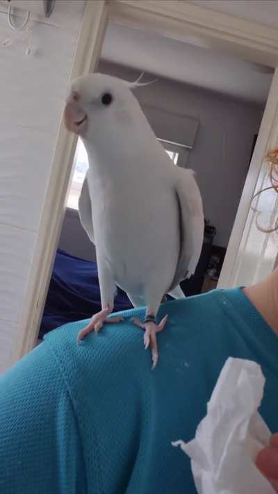 My little white napkin 🥹❤️