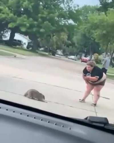 WCGW recording a Raccoon