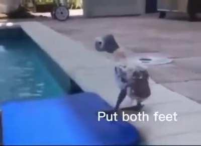 Ihave to consider😅😅😅😅