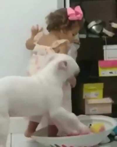 OH MY GOD SHE ATE THE FUCKING DOG