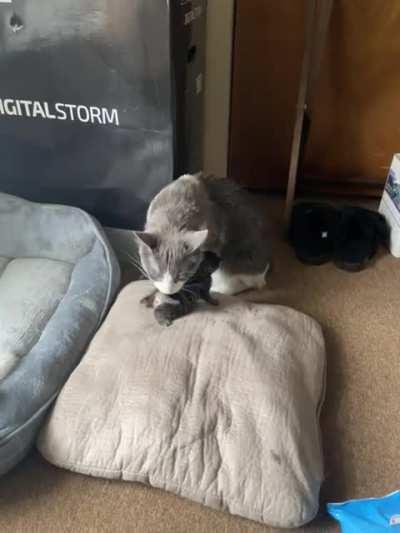 Met his daddy today 😂