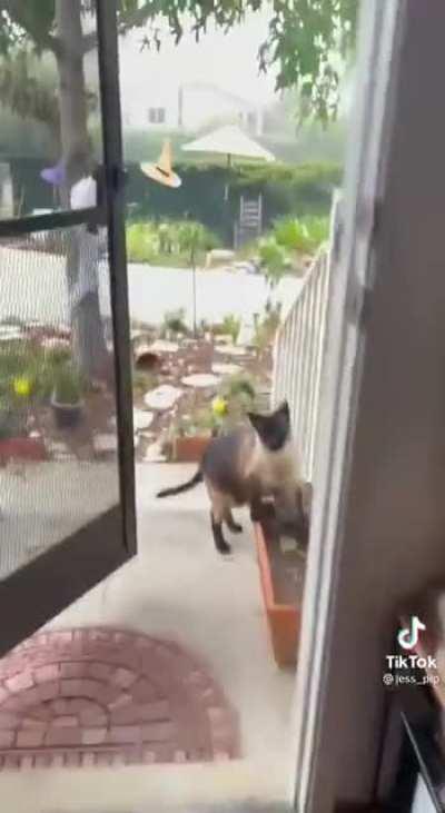 Какая наглость