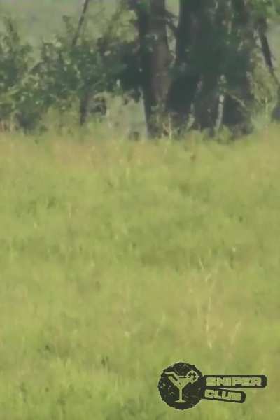 Avdiivka. Summer 2023. Ukrainian sniper pair is working at night. Distance 600 meters.