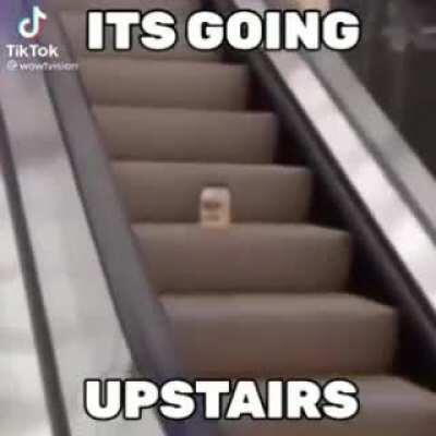 The only man who can out do AC/DC