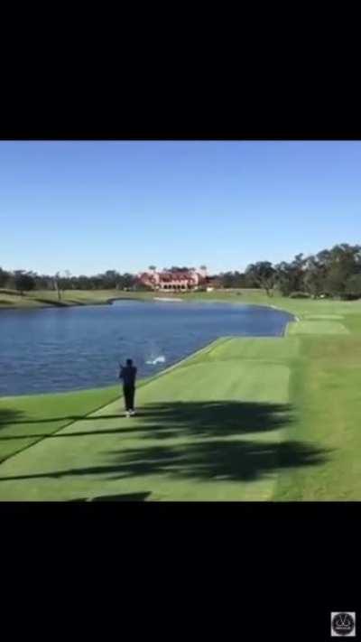 Guy hits flying duck with golf ball