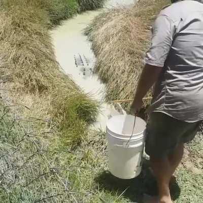 Is that.. his pet? What was the end goal here