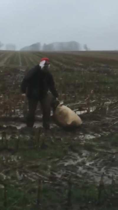 The reindeer are isolated as a precaution. This year🎅 has to go on foot.