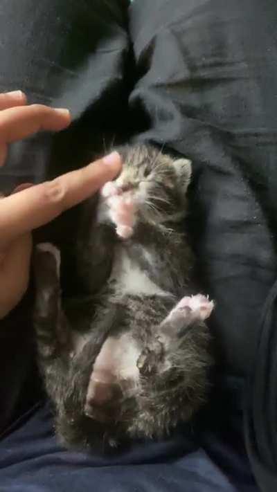 What does this criminal want ?