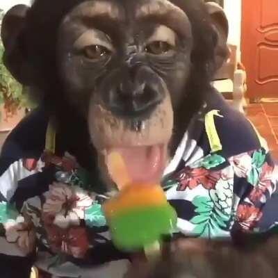 GENTE OLHA QUE GRACINHA COM ESSE CALOR O MUCA FICA CHUPANDO PICOLÉ 🥰🥰🥰🥰