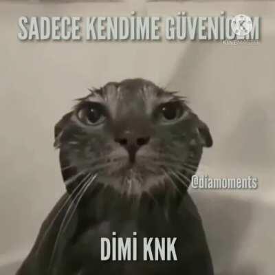 Saçma motivasyon videosu izledikten sonra