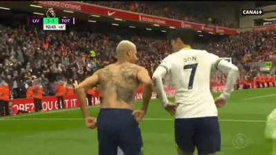 New to soccer, where did these pigeons come from?