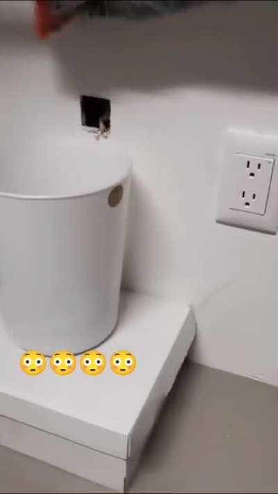 Spawn de uriel💎💎🐀🐀