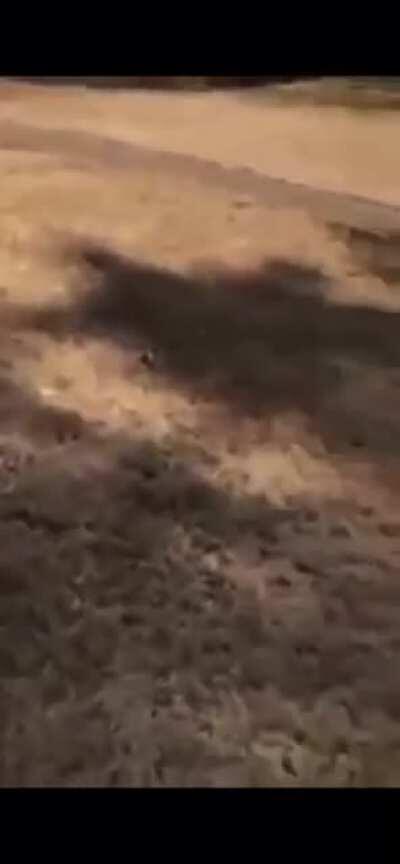 That one time Thouxanbanfauni’s friend burnt down his moms lawn