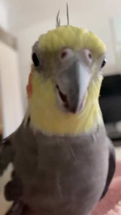 “Hm? What’s this??”