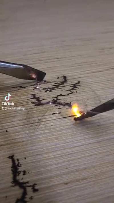 Portrait of Nikola Tesla using ELECTRICITY