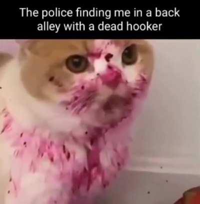 THE HOOKER WAS A FED