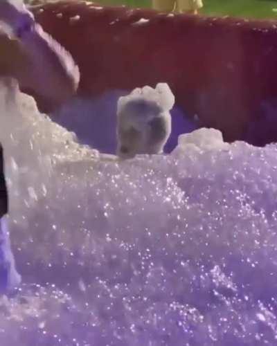 Peaking in the bubble pit