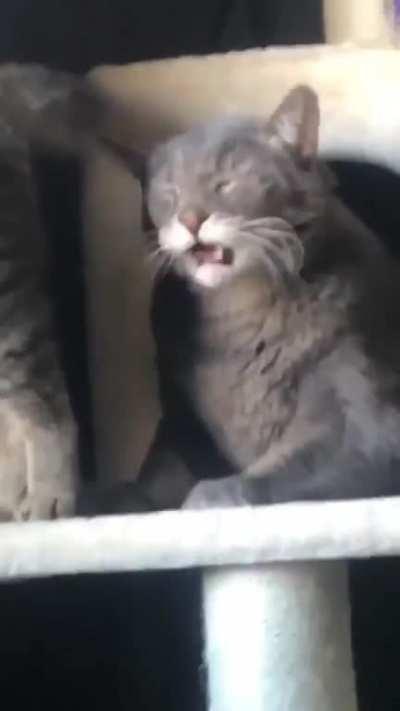 Christina's reaction after she gives in to Tom's requests