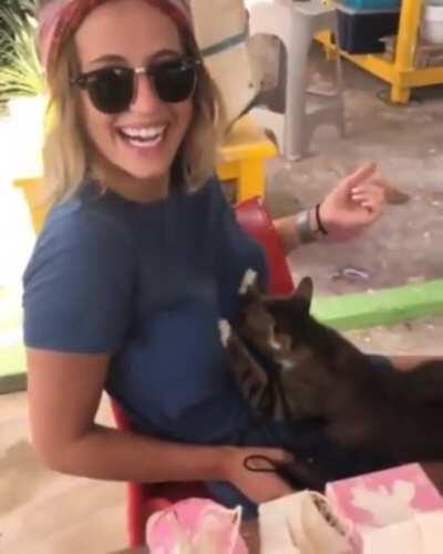 my milkshake brings all the boys to the yard