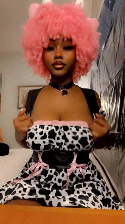 Cow with some big milkers