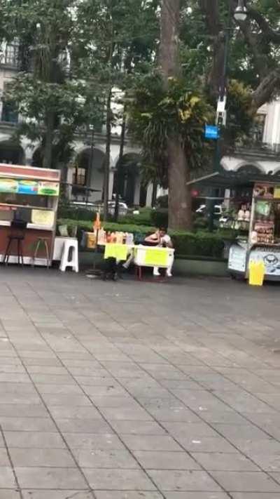 Hold my treat while I skateboard