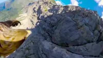 Top of the line surveillance