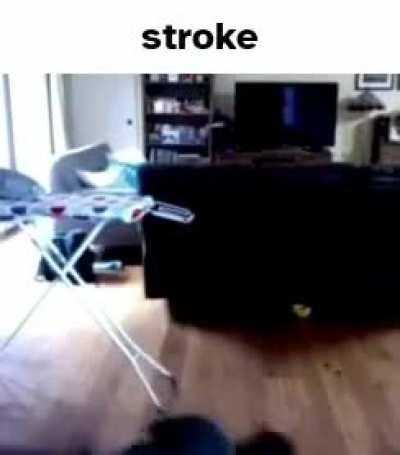 stroke