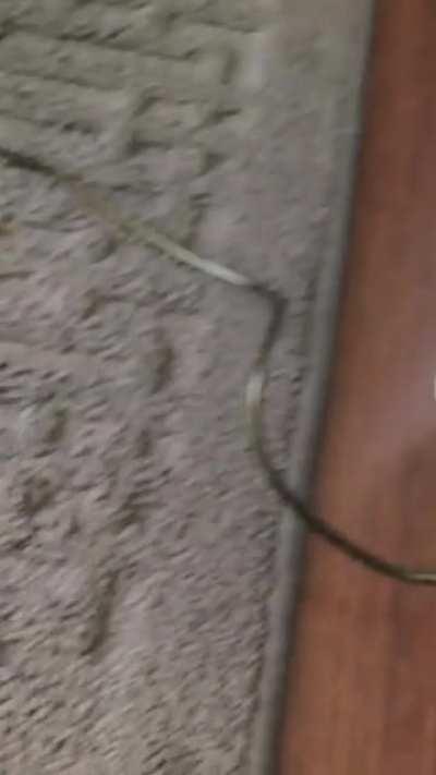 My Fellow ogres may I introduce to you......The SHREXBOX! (TURN VOLUME UP!)