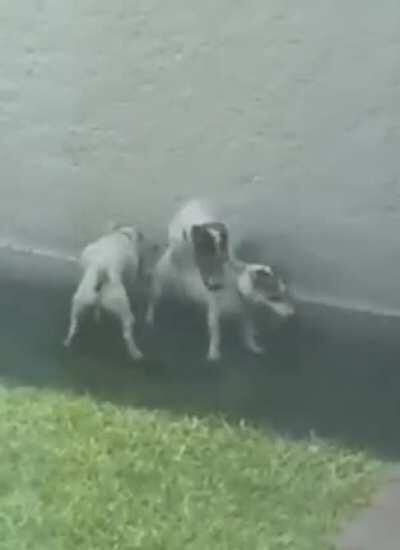 What is even happening?