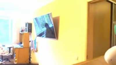 Belarusian KGB operatives raid the house of Andrey Zeltser, a Software Engineer from Minsk, A KGB Operative and Andrey are both killed