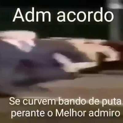 Topper😎😱😱👌👌🤡😈😍