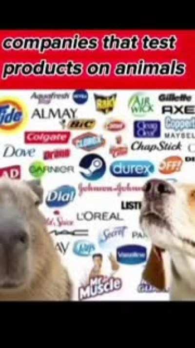 You just got shit on by a dog