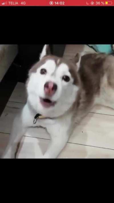 Jesus (Couldn&rsquo;t get rid of that annoying red bar up top, sorry)