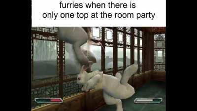 furry_irl