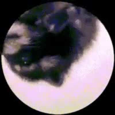 No title just do this step